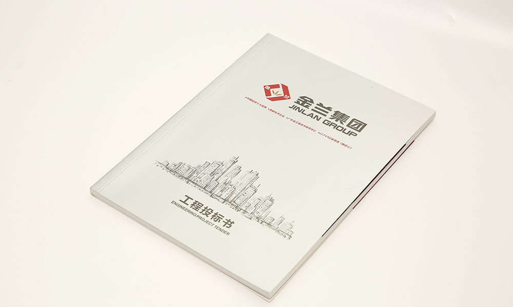 集團企業(yè)畫冊設計